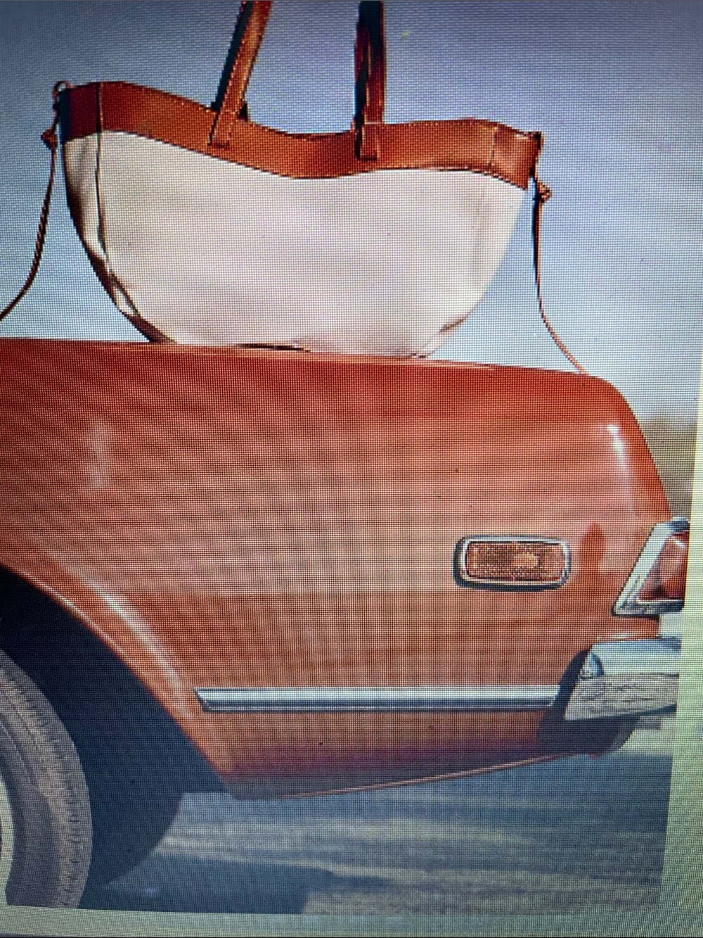 AOTA Candy Canvas Tote with Tan Leather Trim - Bag Brand New in poly bag!!